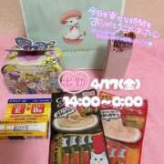 ヒメ日記 2026/04/17 01:07 投稿 ぐみ ハピネス東京