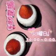 ヒメ日記 2026/04/17 20:57 投稿 ぐみ ハピネス東京