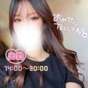 ヒメ日記 2026/04/22 11:57 投稿 ぐみ ハピネス東京