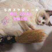 ヒメ日記 2026/04/27 09:37 投稿 ぐみ ハピネス東京