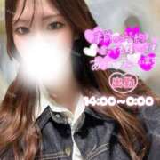 ヒメ日記 2026/04/29 11:37 投稿 ぐみ ハピネス東京