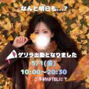 ヒメ日記 2026/04/30 16:17 投稿 ぐみ ハピネス東京