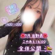 ヒメ日記 2026/06/24 12:37 投稿 ぐみ ハピネス東京