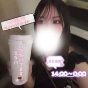 ヒメ日記 2026/07/09 10:40 投稿 ぐみ ハピネス東京