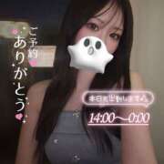 ヒメ日記 2026/08/26 12:07 投稿 ぐみ ハピネス東京