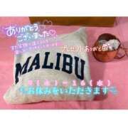 ヒメ日記 2026/09/08 22:42 投稿 ぐみ ハピネス東京