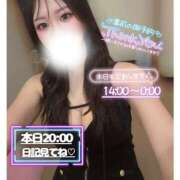 ヒメ日記 2026/09/29 11:57 投稿 ぐみ ハピネス東京