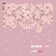 ヒメ日記 2026/03/11 11:45 投稿 豊沢 新宿人妻城