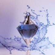 ヒメ日記 2026/03/12 11:30 投稿 豊沢 新宿人妻城