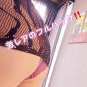 ヒメ日記 2026/10/15 15:02 投稿 豊沢 新宿人妻城