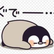 ヒメ日記 2026/01/28 10:10 投稿 豊沢 渋谷人妻城