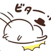 ヒメ日記 2026/01/28 12:00 投稿 豊沢 渋谷人妻城