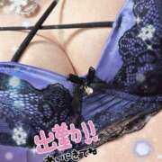 ヒメ日記 2026/02/17 09:33 投稿 豊沢 渋谷人妻城