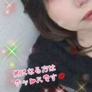 ヒメ日記 2026/02/17 19:06 投稿 豊沢 渋谷人妻城