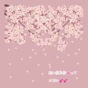 ヒメ日記 2026/03/11 11:50 投稿 豊沢 渋谷人妻城