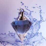 ヒメ日記 2026/03/12 11:30 投稿 豊沢 渋谷人妻城