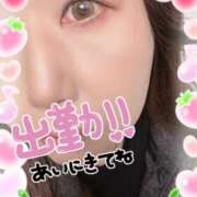 ヒメ日記 2026/03/16 08:20 投稿 豊沢 渋谷人妻城