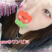 ヒメ日記 2026/04/18 11:03 投稿 豊沢 渋谷人妻城