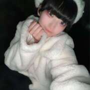 ヒメ日記 2025/12/31 11:25 投稿 きらら エピセレクション