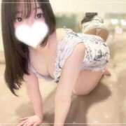 ヒメ日記 2025/11/25 15:02 投稿 うさぎ（極上SPコース対応） LIGHT（ライト）～光が導く無限の可能性～