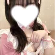 ヒメ日記 2025/11/27 08:46 投稿 うさぎ（極上SPコース対応） LIGHT（ライト）～光が導く無限の可能性～