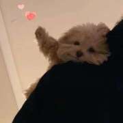 ヒメ日記 2025/12/23 21:25 投稿 りの 癒し系Fカップ巨乳！ ウエスト・コム