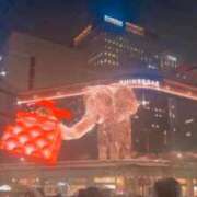 ヒメ日記 2025/12/10 16:57 投稿 みなみ Anemone渋谷店