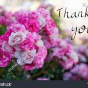 ヒメ日記 2025/11/15 23:22 投稿 みこと タレント倶楽部Around40