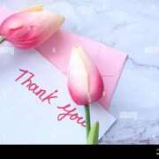 ヒメ日記 2025/11/29 18:58 投稿 みこと タレント倶楽部Around40