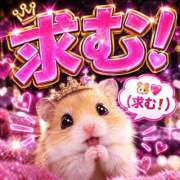ヒメ日記 2026/09/30 00:00 投稿 みこと タレント倶楽部Around40
