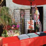 ヒメ日記 2025/12/30 18:11 投稿 窓乃ねこ ワイフコレクション