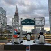 ヒメ日記 2026/01/11 22:56 投稿 窓乃ねこ ワイフコレクション