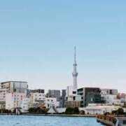 ヒメ日記 2026/01/31 19:34 投稿 窓乃ねこ ワイフコレクション