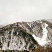 ヒメ日記 2026/02/07 21:44 投稿 窓乃ねこ ワイフコレクション