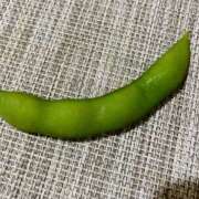 ヒメ日記 2026/03/14 11:35 投稿 窓乃ねこ ワイフコレクション