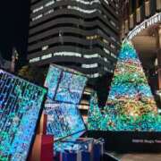 ヒメ日記 2025/11/25 08:44 投稿 平山のあ 麗しいマダム