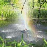 ヒメ日記 2025/11/27 08:48 投稿 平山のあ 麗しいマダム