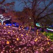 ヒメ日記 2026/01/09 08:46 投稿 平山のあ 麗しいマダム