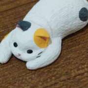 ヒメ日記 2026/01/16 00:43 投稿 平山のあ 麗しいマダム