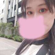 ヒメ日記 2026/02/16 15:49 投稿 平山のあ 麗しいマダム