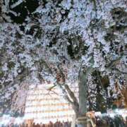 ヒメ日記 2026/03/24 21:17 投稿 平山のあ 麗しいマダム