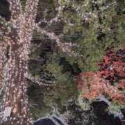 ヒメ日記 2025/11/28 08:38 投稿 平山のあ 美魔女エステ