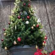 ヒメ日記 2025/12/01 14:32 投稿 平山のあ 美魔女エステ