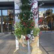 ヒメ日記 2026/01/06 17:23 投稿 平山のあ 美魔女エステ