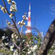 ヒメ日記 2026/02/19 13:33 投稿 平山のあ 美魔女エステ