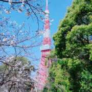 ヒメ日記 2026/03/24 10:34 投稿 平山のあ 美魔女エステ