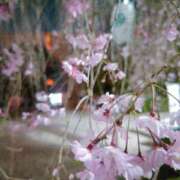 ヒメ日記 2026/04/03 20:31 投稿 平山のあ 美魔女エステ