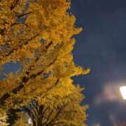 ヒメ日記 2025/11/28 13:40 投稿 平山のあ 色気あるワイフ