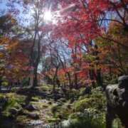 ヒメ日記 2025/12/13 00:24 投稿 平山のあ 色気あるワイフ