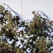 ヒメ日記 2026/01/03 08:50 投稿 平山のあ 色気あるワイフ